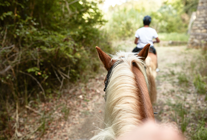 06-horse-riding-in-riviera-olympia-sports-resort-in-peloponnese